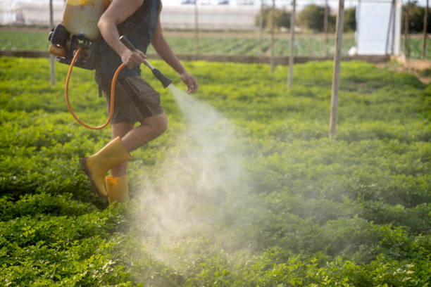 Pest Control Cost in Kingsville, MD