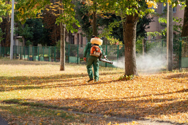 Best Pest Prevention Services  in Kingsville, MD